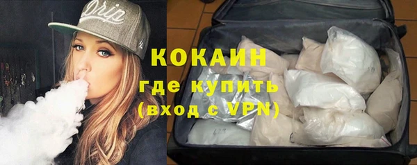 МДПВ Каменногорск