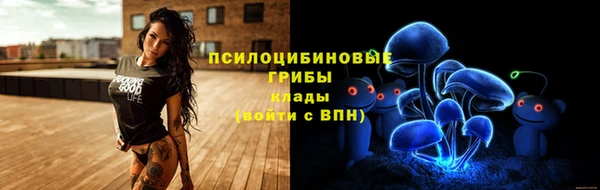 МДПВ Каменногорск