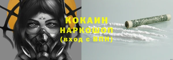 МДПВ Каменногорск