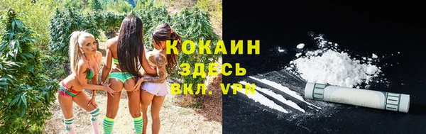 МДПВ Каменногорск