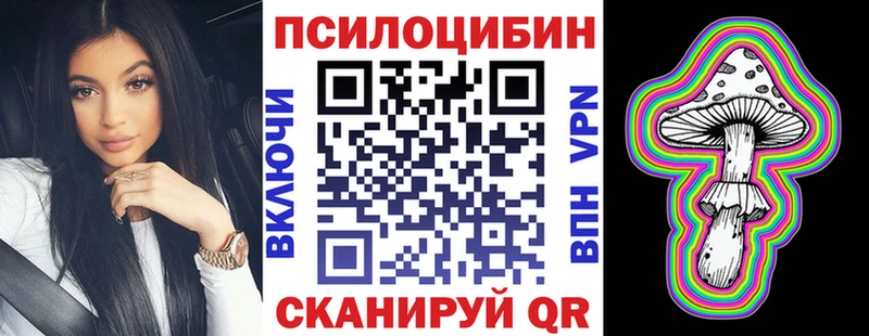 Галлюциногенные грибы Psilocybe  Камень-на-Оби 
