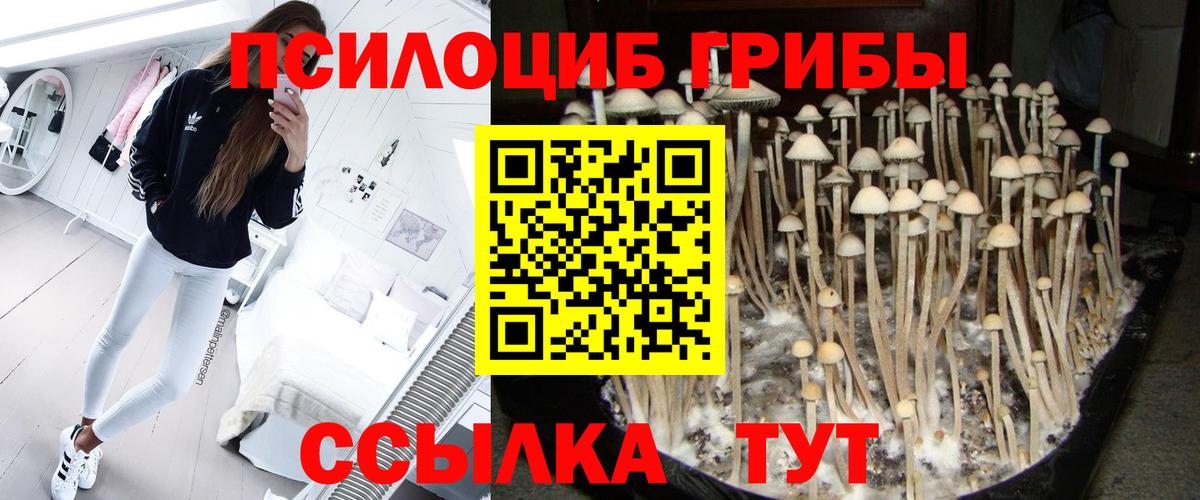 Псилоцибиновые грибы ЛСД Камень-на-Оби